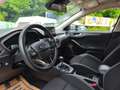 Ford Focus 1,5L EcoBlue 120PS,* Neues Modell** Weiß - thumbnail 9