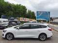Ford Focus 1,5L EcoBlue 120PS,* Neues Modell** Weiß - thumbnail 5