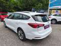 Ford Focus 1,5L EcoBlue 120PS,* Neues Modell** Weiß - thumbnail 3