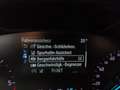 Ford Focus 1,5L EcoBlue 120PS,* Neues Modell** Weiß - thumbnail 31