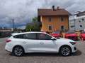Ford Focus 1,5L EcoBlue 120PS,* Neues Modell** Weiß - thumbnail 1