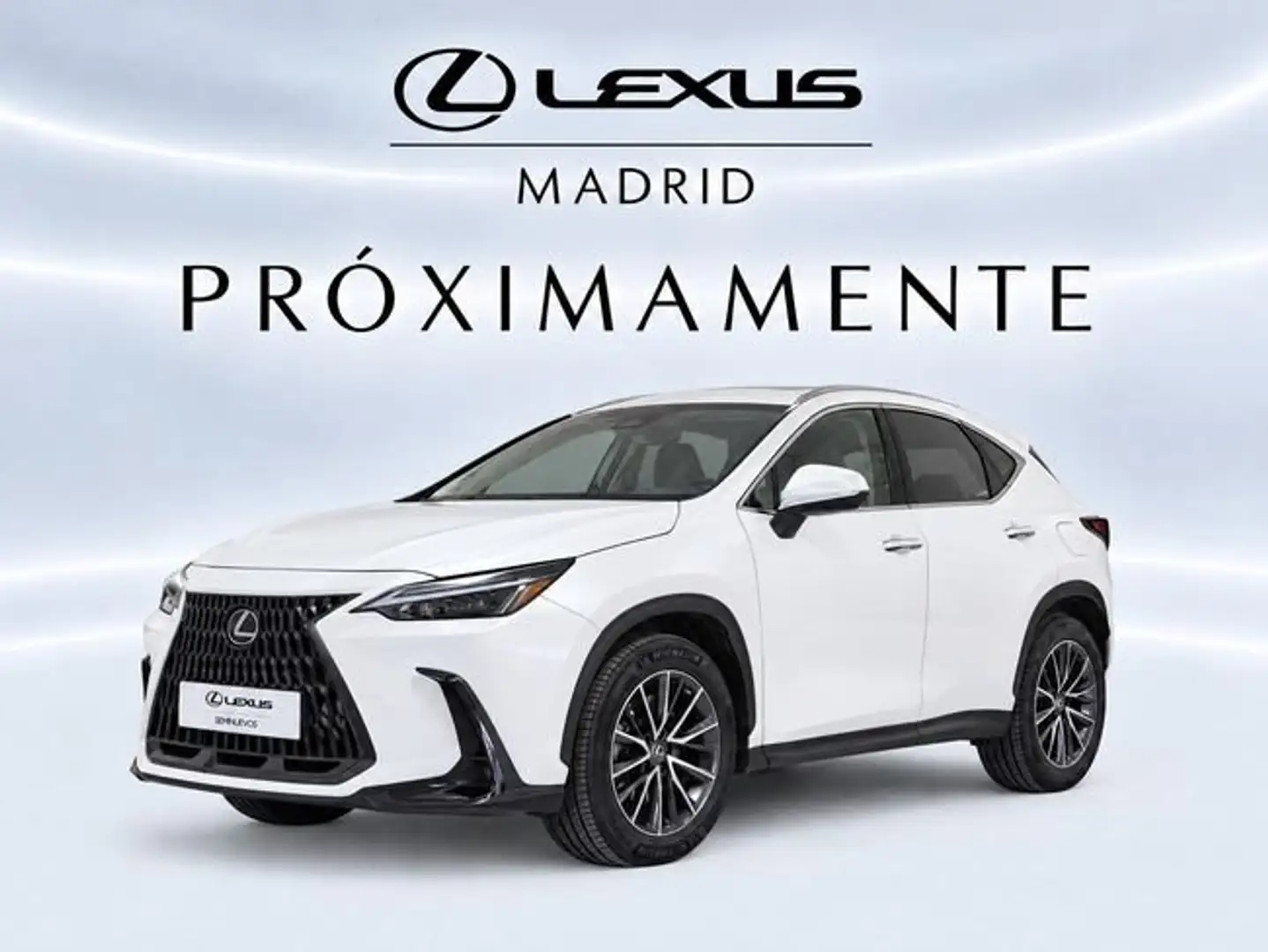 Lexus NX 350h Business 2WD Blanco - 1