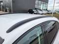 Ford Focus 1.0 Ecoboost 125 pk Active Business 18" velgen Cam Blanc - thumbnail 11