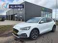 Ford Focus 1.0 Ecoboost 125 pk Active Business 18" velgen Cam Blanc - thumbnail 1