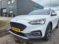 Ford Focus 1.0 Ecoboost 125 pk Active Business 18" velgen Cam Blanc - thumbnail 7