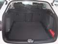 Volkswagen Golf Variant Life 1.5 TSI 269,- mtl. GJR SHZ Privacy LED CarPl Weiß - thumbnail 20
