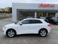 Audi Q3 Q3 35 TDI S tronic Business Advanced Bianco - thumbnail 1