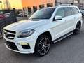 Mercedes-Benz GL 500 GL-500 AMG Navi+TV/2xDVD/H-K Sound/Panorama/AHK Weiß - thumbnail 14