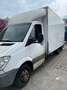 Mercedes-Benz Sprinter mercedes sprinter 516 - thumbnail 2