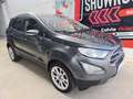 Ford EcoSport 1.0 EcoBoost Active 125 Grigio - thumbnail 9