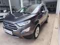 Ford EcoSport 1.0 EcoBoost Active 125 Grigio - thumbnail 10