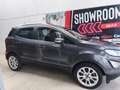 Ford EcoSport 1.0 EcoBoost Active 125 Grigio - thumbnail 7