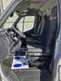 Renault Master Master Ch.Cb. Energy Blue dCi L2 3500 T 132kW Blanco - thumbnail 10