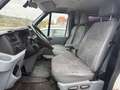 Ford Transit FT 300 M Trend Klima verglast 9 Sitze Blanc - thumbnail 8