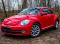 Volkswagen Beetle Beetle Special-Edition Czerwony - thumbnail 1