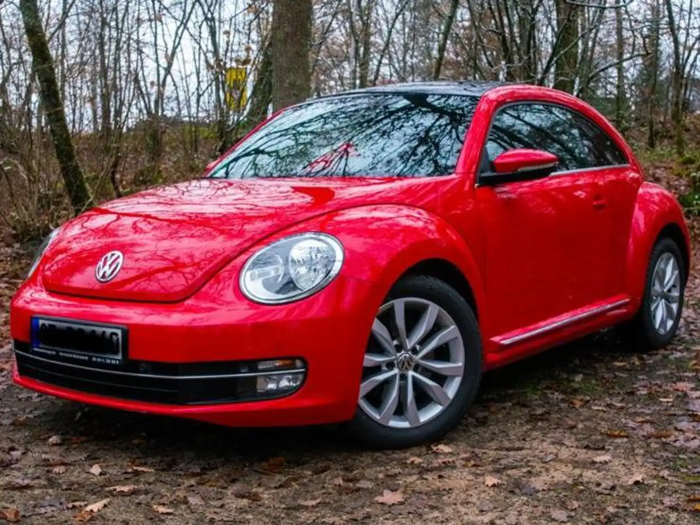 Volkswagen Beetle Beetle Special-Edition Czerwony - 1