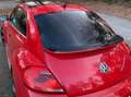 Volkswagen Beetle Beetle Special-Edition Czerwony - thumbnail 8