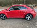 Volkswagen Beetle Beetle Special-Edition Czerwony - thumbnail 6