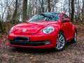 Volkswagen Beetle Beetle Special-Edition Czerwony - thumbnail 2