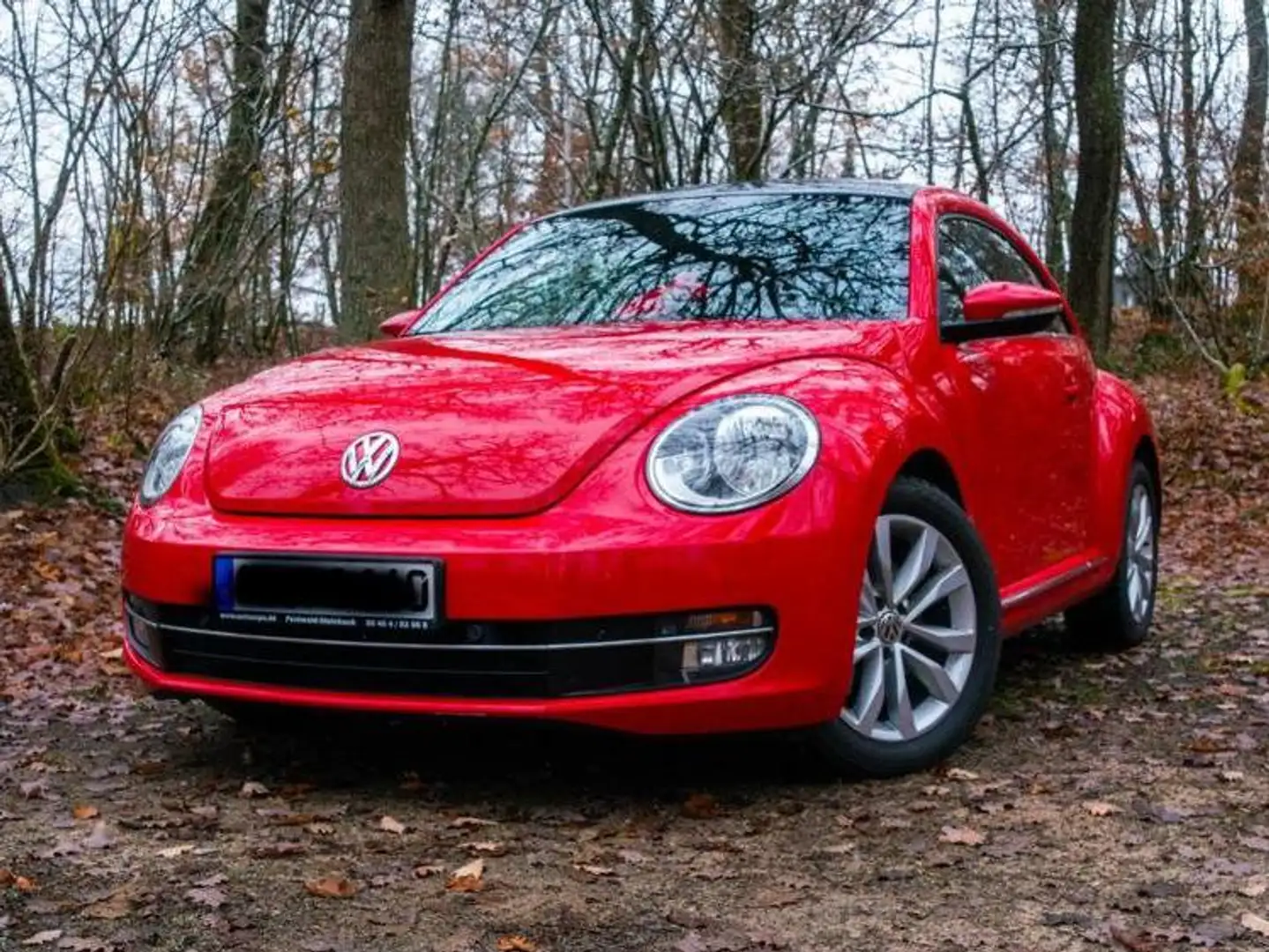 Volkswagen Beetle Beetle Special-Edition Czerwony - 2