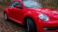 Volkswagen Beetle Beetle Special-Edition Czerwony - thumbnail 4