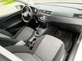 SEAT Ibiza Ibiza 1.0 tgi Style 90cv Bianco - thumbnail 11