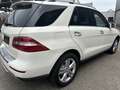 Mercedes-Benz ML 250 BlueTEC 4MATIC 7G-TRONIC - thumbnail 5