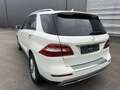 Mercedes-Benz ML 250 BlueTEC 4MATIC 7G-TRONIC - thumbnail 7