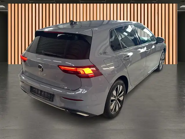 Volkswagen Golf view 21