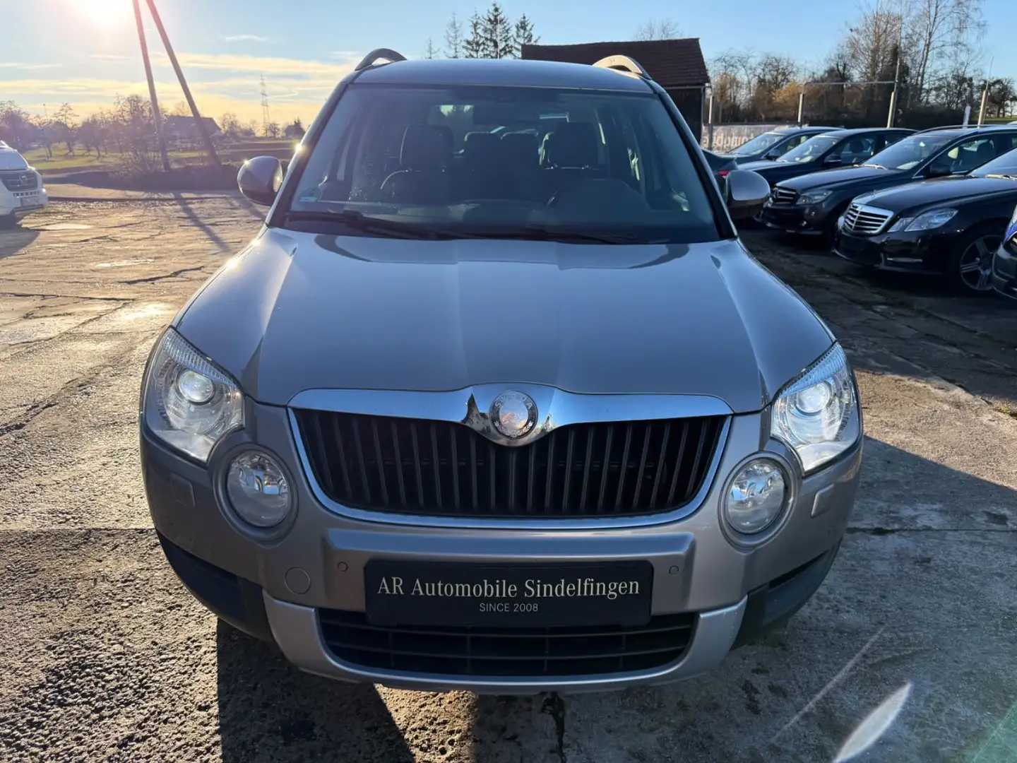 Skoda Yeti 2.0 TDI DSG Experience 4x4*AHK*XEN* Beige - 2