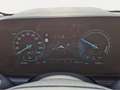 Kia Niro EV VISION WP KOMFORT STYLE LED V2L 460 km RW Grau - thumbnail 17