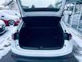 Volkswagen Taigo Life    Sitzheizung   ACC Tempomat  Klimaautomatik Blanco - thumbnail 10