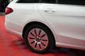 Mercedes-Benz C 200 CGI 4Matic T. Aut. 2.Hand*LED*Pano*Memory Weiß - thumbnail 6