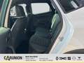 SEAT Arona FR 1.5 TSI 7-Gang DSG Black Edition AHK Blanc - thumbnail 8