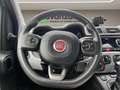 Fiat Panda 1.0 firefly hybrid Cross s&s 70cv NEOPATENTATI Grijs - thumbnail 10