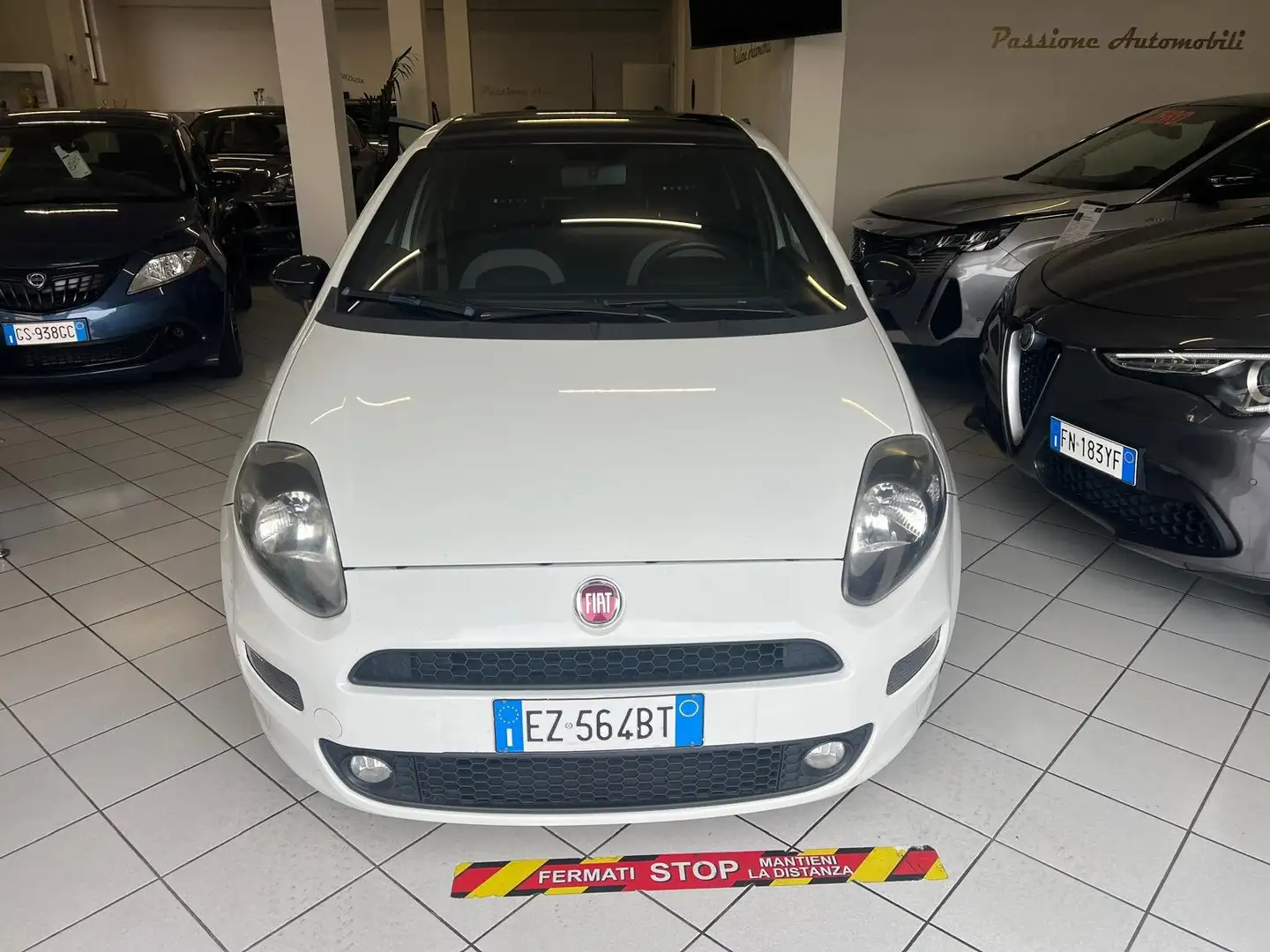 Fiat Punto Evo Punto III 5p 1.2 SPORT E6 Wit - 2
