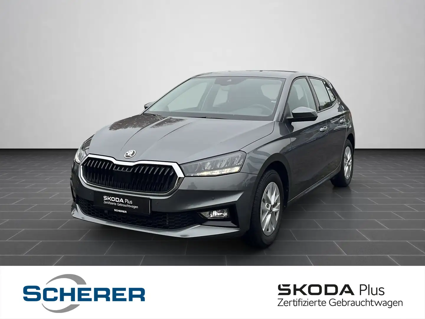 Skoda Fabia 1.0 TSI DSG Selection Travel Assist, RFK, Grau - 1