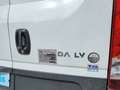 Iveco Daily 3.0 TD 35S 18 V 3520LH2 Wit - thumbnail 35