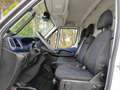 Iveco Daily 3.0 TD 35S 18 V 3520LH2 Wit - thumbnail 21