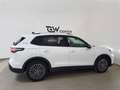 Volkswagen Tiguan 1.5 eTSI Life LED Plus ACC AHK Teilleder 360° Weiß - thumbnail 10