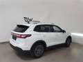 Volkswagen Tiguan 1.5 eTSI Life LED Plus ACC AHK Teilleder 360° Weiß - thumbnail 9