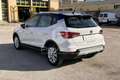 SEAT Arona Arona 1.0 TGI XCELLENCE Bianco - thumbnail 7