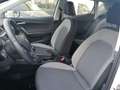 SEAT Ibiza Style 1.0 TSI 110 PS Full Link PDC KLimaaut. Kamer Bianco - thumbnail 12