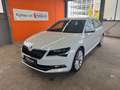 Skoda Superb Combi 2.0 TDI Style DSG Navi LED Blanc - thumbnail 1