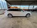 Skoda Superb Combi 2.0 TDI Style DSG Navi LED Blanc - thumbnail 4
