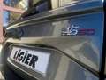 Ligier JS 50 Elite mit neuem Diesel Euro5+ Motor Gris - thumbnail 10