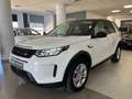 Land Rover Discovery Sport 2.0D TD4 MHEV Standard AWD Auto 204 Blanco - thumbnail 6