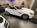 Mercedes-Benz SLK 200 SLK Roadster - R172 (cgi be) Sport Bianco - thumbnail 3