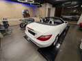 Mercedes-Benz SLK 200 SLK Roadster - R172 (cgi be) Sport Bianco - thumbnail 5