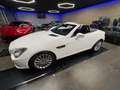 Mercedes-Benz SLK 200 SLK Roadster - R172 (cgi be) Sport Bianco - thumbnail 4